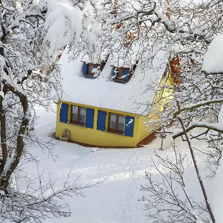 Ferienhaus En Alsace Mutzig