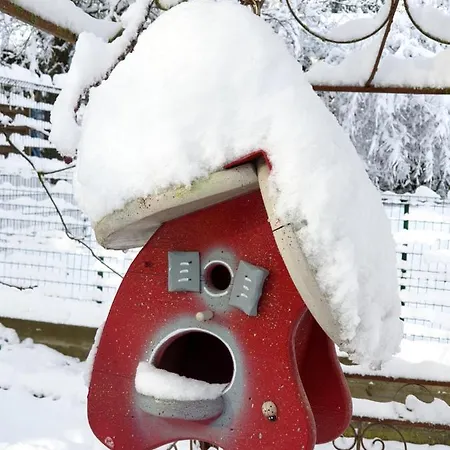 En Alsace Ferienhaus *